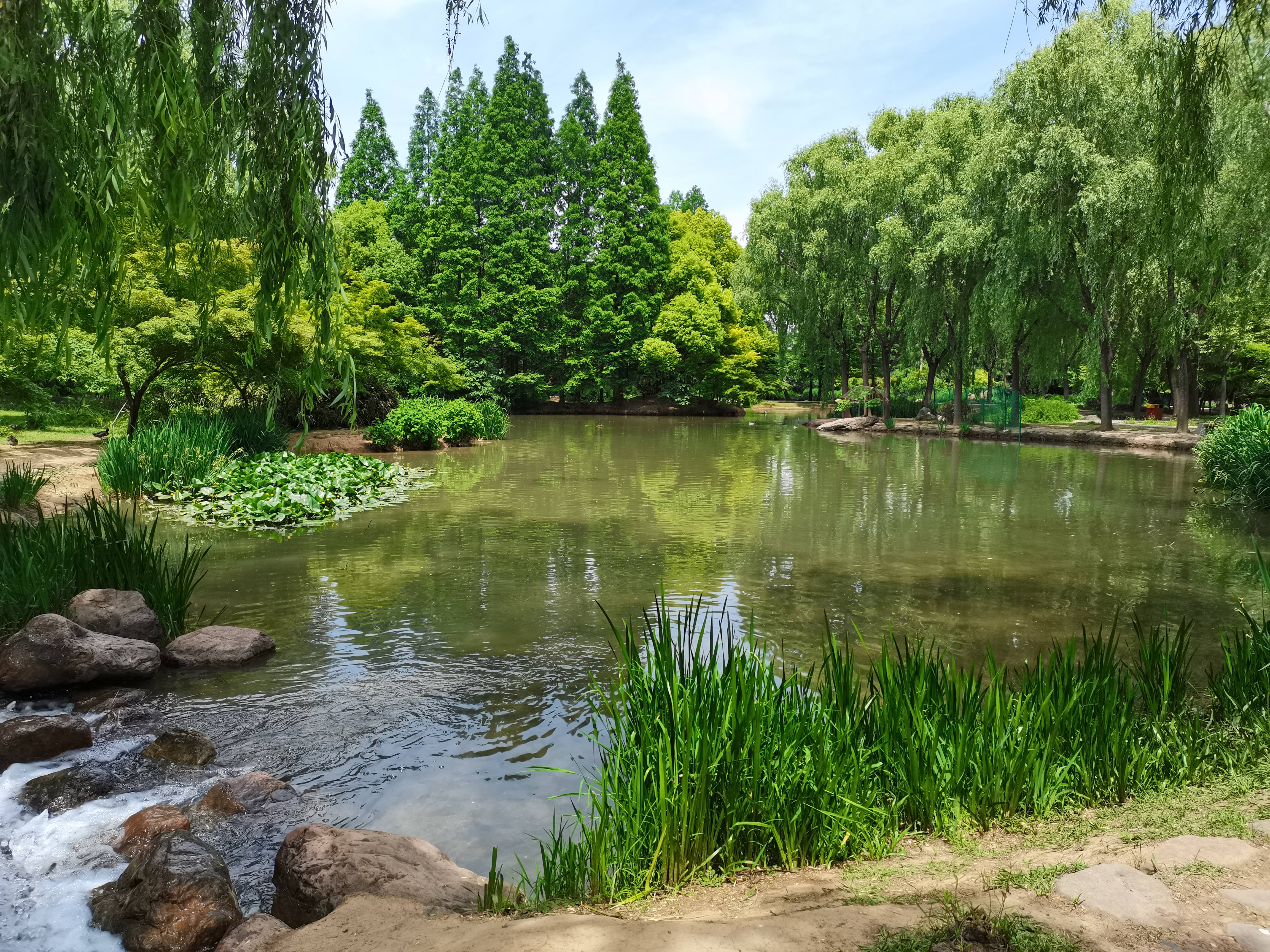 隋唐城遗址植物园野趣水景园