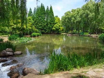 隋唐城遗址植物园野趣水景园