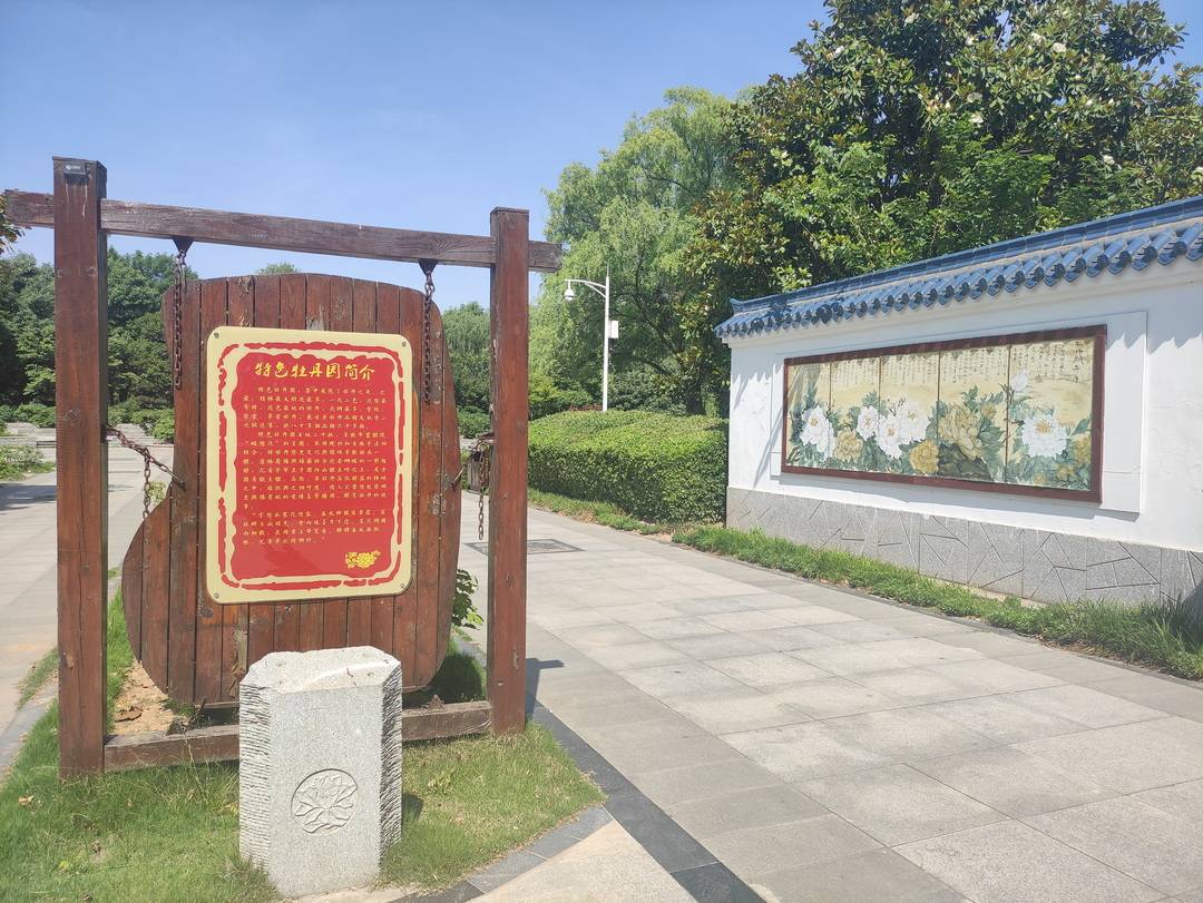 隋唐城遗址植物园特色牡丹园