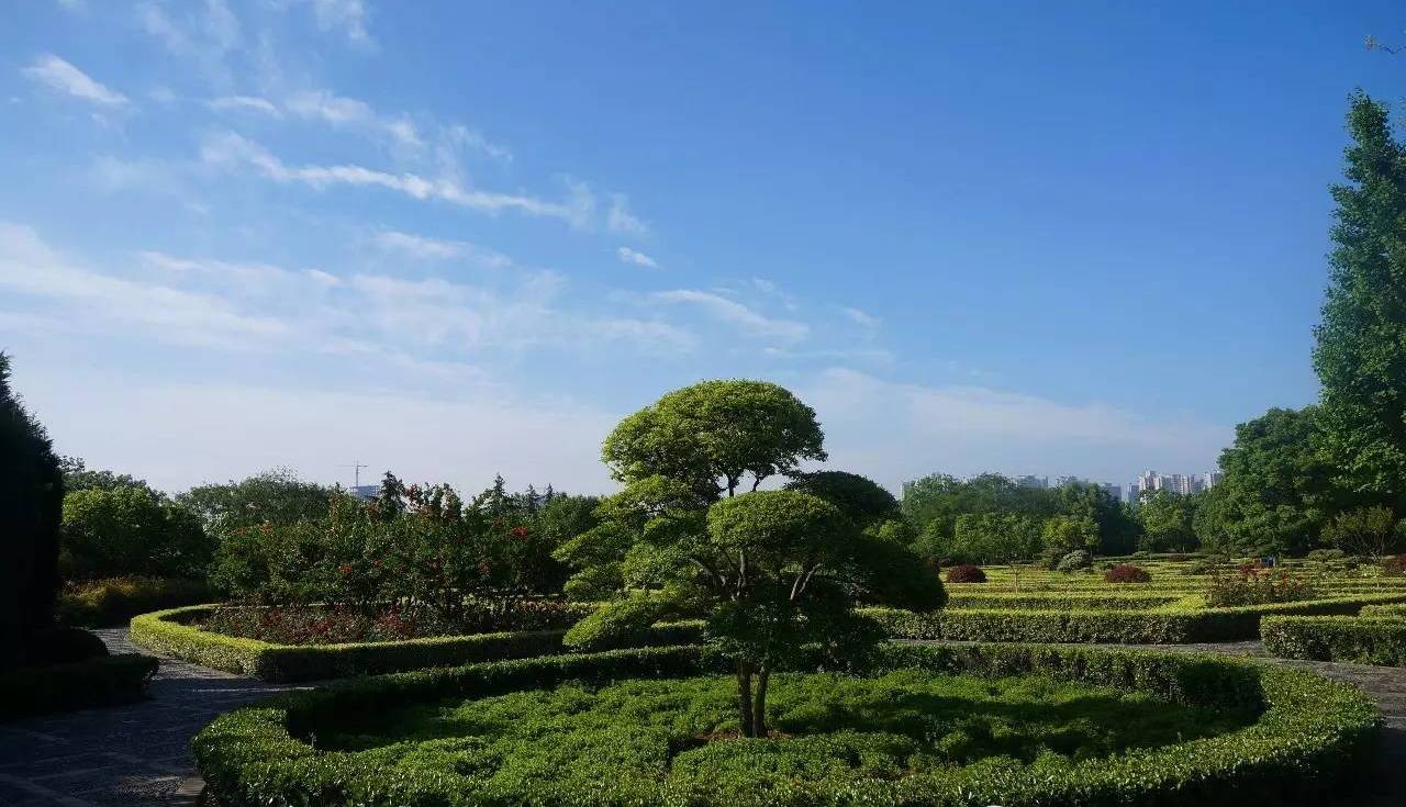 隋唐城遗址植物园百草园