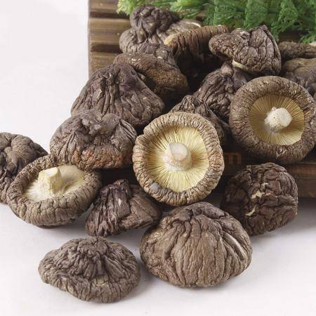 栾川土特产香菇干货 特产干货香菇