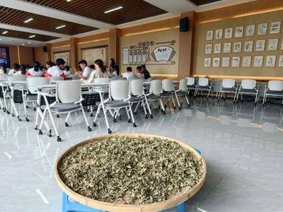 研学现场
