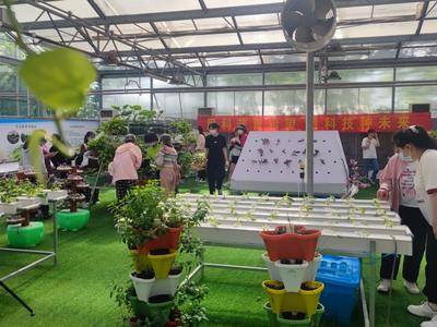 无土栽培科普馆