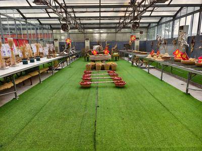 五谷杂粮科普馆