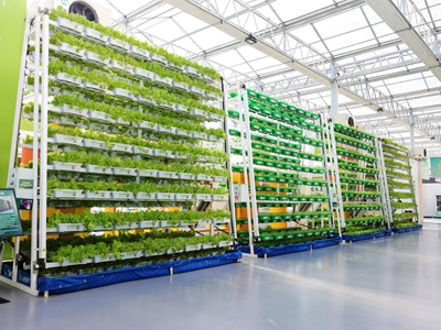 冀州现代农业融合创新基地