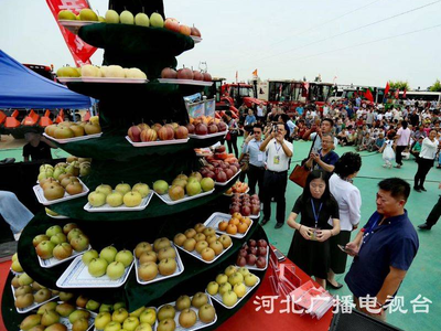 首届中国五邑红梨文化节