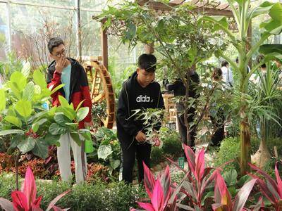 衡水市中学生参观衡水中学劳动教育基地