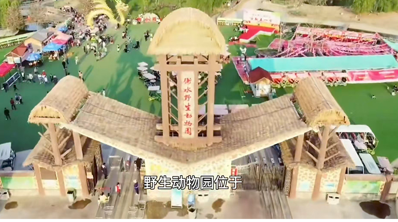 衡水野生动物园
