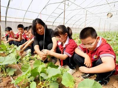 研学过程